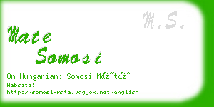 mate somosi business card